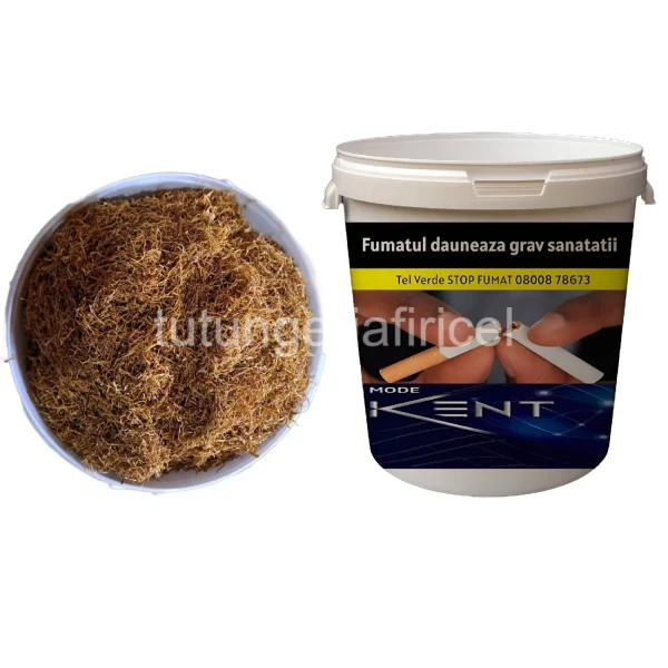 tutun la galeata, tutun la punga, aparate de facut tigari, tutun de vanzare, tutu de vanzare, tuburi si aparate, tuburi aparate, yanna online srl, tuburi dunhill, tobacco 1 kg, filtre si foite, masina de injectat, tuburi slim, senator white oferta, filtre dunhill, turner original, virginia verde, tobacco ro, tuburi mentolate, filtre slim, aparat slim, camel aroma, camel arome, korona slim, camel mentolat, west rosu, tabacioc produse, masina de rulat, filtre pegasus, camel blue, tobacco romania, aroma kent, carpati red, kent auriu, camel slim, camel albastru pret, west albastru, camel rosu, magazin online ungaria, carpati albastru, slimuri mentolate, nicotina mg, pret camel, marble rosu, west slim, pret marble, camel romania, tobacco 1kg uk, dunhill 1, noul dunhill, kent electronic, marble negru, pachet marlboro, camel 100, marble pret, aroma tobacco, inlocuitor nicotina, carpati blue, carpati cu filtru pret, camel mg, kent 100s, kent romania, dunhill albastru, camel firma, kent mentolat, carpați cu filtru, marlboro romania, dunhill silver nicotina, dunhill nicotina, kent nicotina, dunhill mentolat, kent original, pret dunhill albastru, dunhill slim nicotina, camel ciocolata, dunhill pret, kent 100's, pachet kent, dunhill negre, plic cu nicotina, chesterfield pret, dunhill slim verde, chesterfield negru pret, oferte dunhill, pret chesterfield, kent oferta, kent 1 mg, kent 4 slim, kent 100, camel cu ciocolata, nicotina la plic, fumatul electronic, kent 5, dunhill auriu nicotina, pret dunhill negru, camel ro, foite mentolate, dunhill verde slim, plastic in filtru, dunhill negru, dunhill albastru mg, dunhill negru nicotina, dunhill mg, dunhill slim negru, dunhill negru pret, dunhill negru mg, dunhill negru mg nicotina, dunhill verde slim nicotina, kent 6, chesterfield albastru, chesterfield negru, dunhill negru slim, kent 6 slim, dunhill albastru pret, dunhill albastru nou, dunhill albastru scurt, dunhill negru pret romania, dunhill noi, dunhill 8, pret dunhill, pret dunhill negru romania, pachet carpati, nicotina dunhill albastru, chesterfield rosu, plicuri nicotina, dunhill slim, pachet dunhill, dunhill 6, dunhill verde, pret dunhill albastru romania, nicotina dunhill, dunhill romania, dunhill slim albastru, dunhill de 4, dunhill emag, dunhill 30 de lei, winston 1, kent clasic pret, mode kent, kent lung clasic pret, pipe pret, filtre winston, pipe romania, oferta kent, gama dunhill, tipuri de dunhill, emag dunhill.